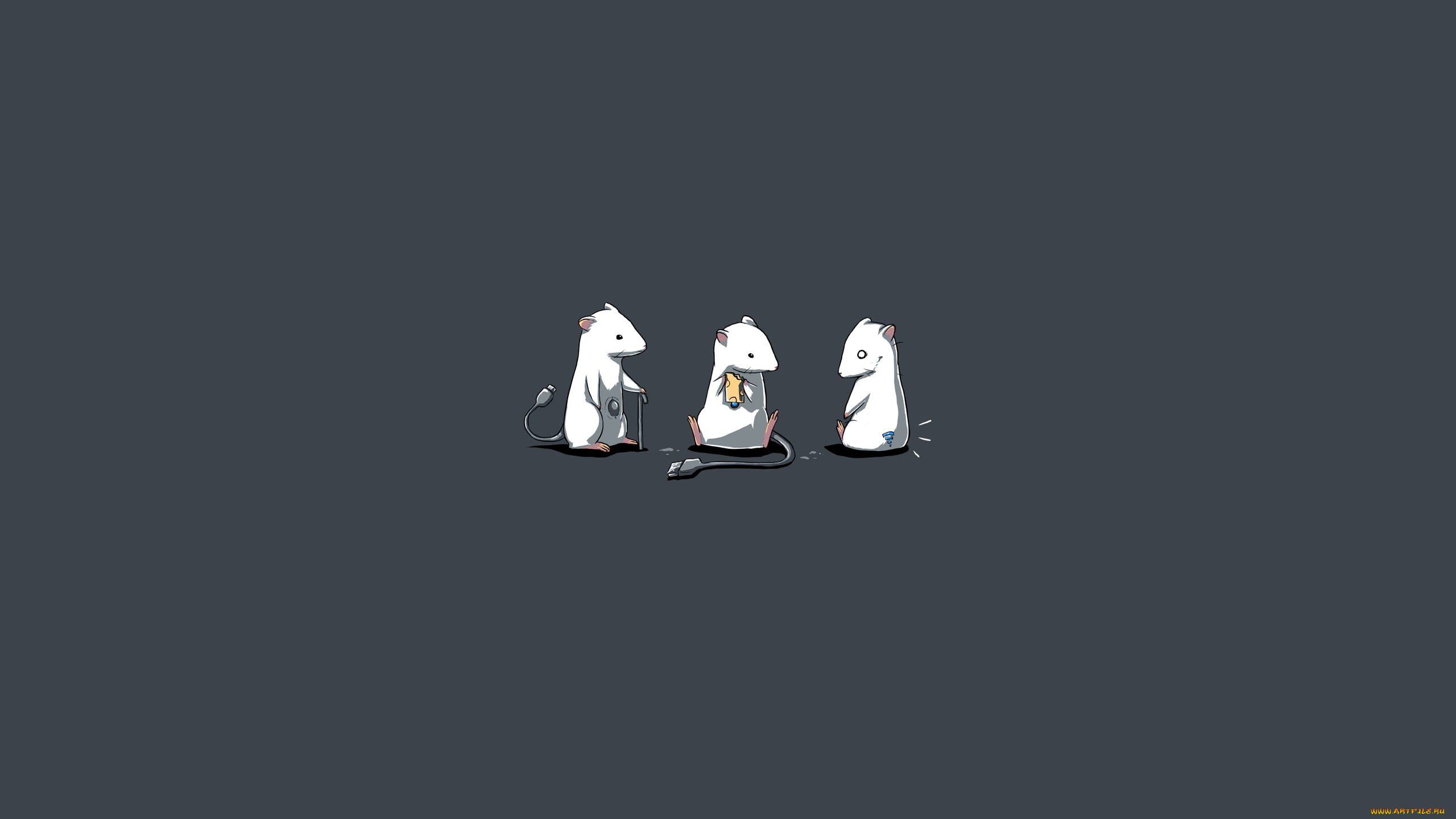 , , 